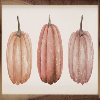 Three Orange Pumpkins